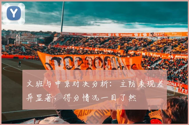 文班与申京对决分析：主防表现差异显著，得分情况一目了然